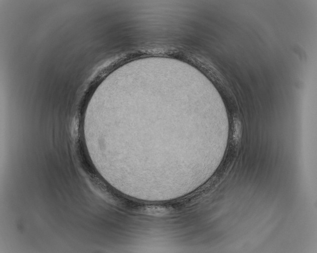 X0000113050636200910081232