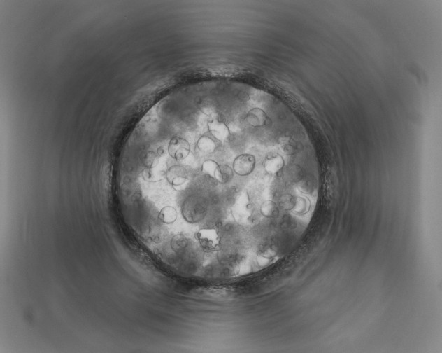 X0000113050639200910081232