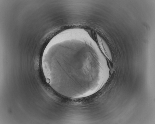 X0000113050640200910081232