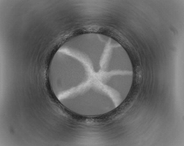 X0000113050641200910081232
