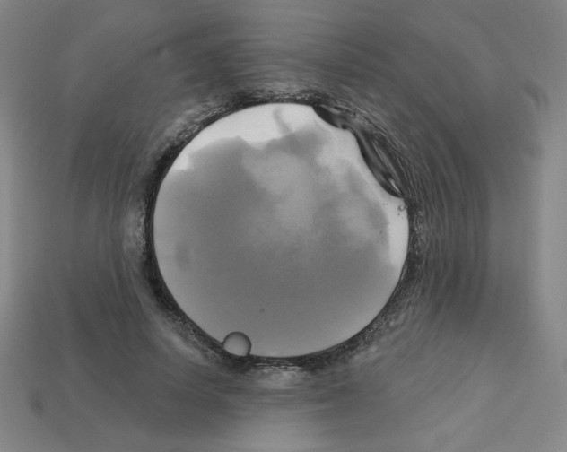 X0000113050642200910081232