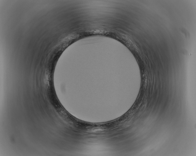 X0000113050643200910081232