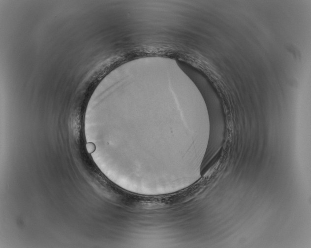 X0000113050644200910081232