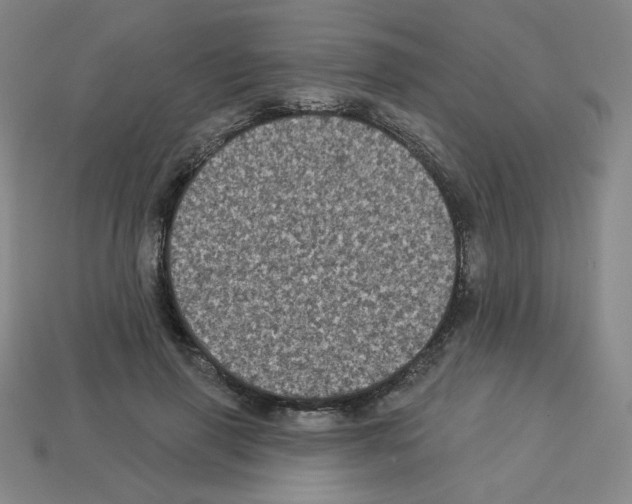 X0000113050645200910081232