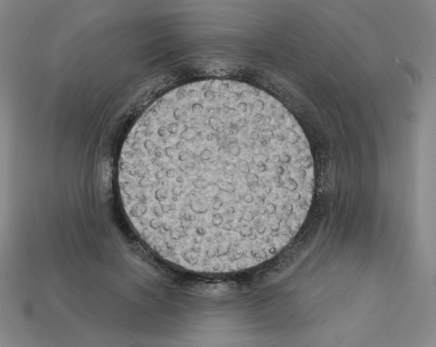 X0000113050646200910081232
