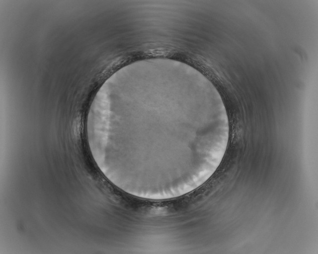 X0000113050647200910081232