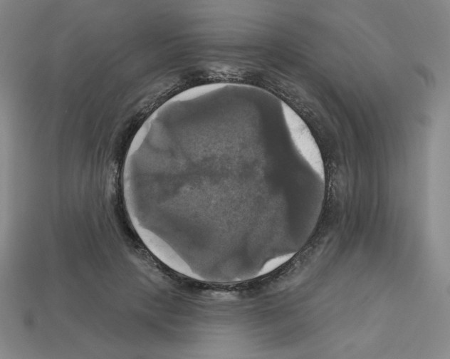 X0000113050649200910081232
