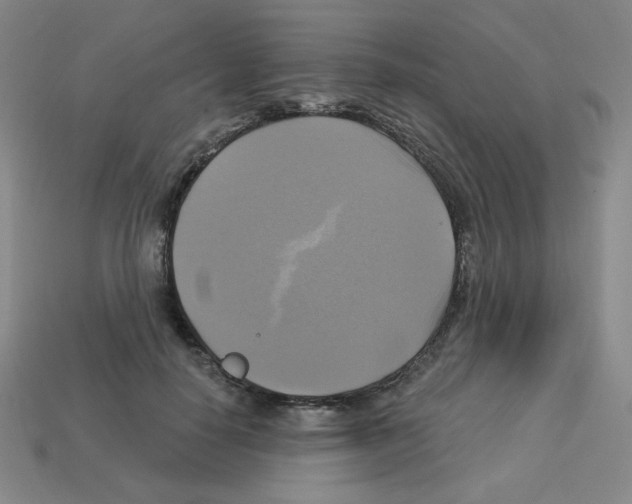 X0000113050650200910081232