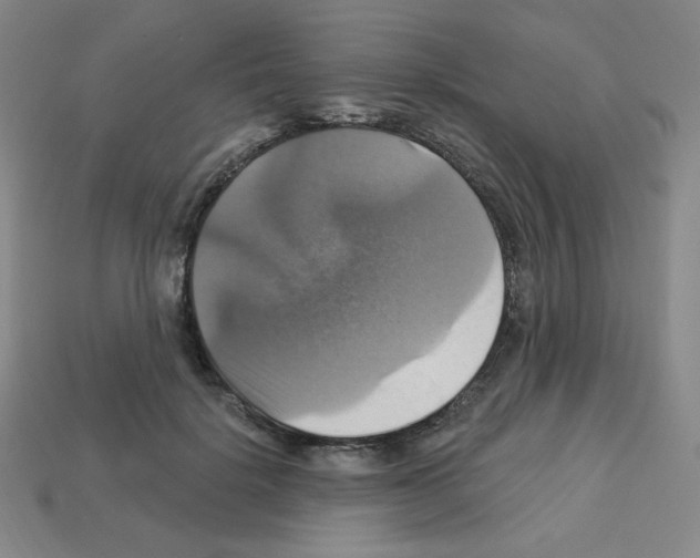 X0000113050652200910081232