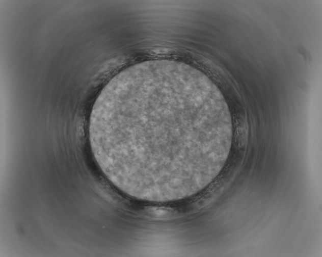 X0000113050654200910081232