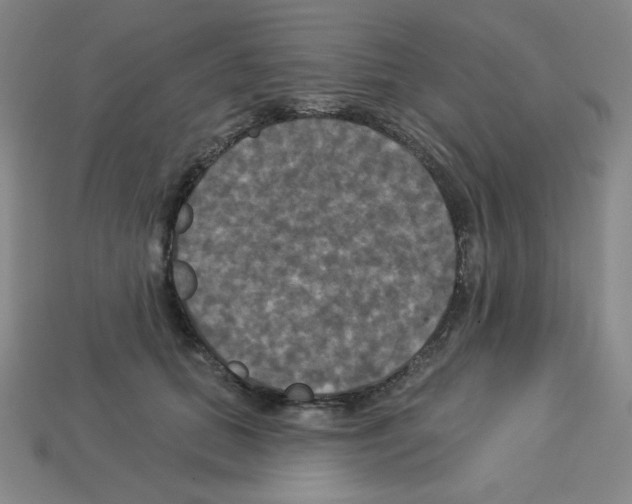 X0000113050655200910081232