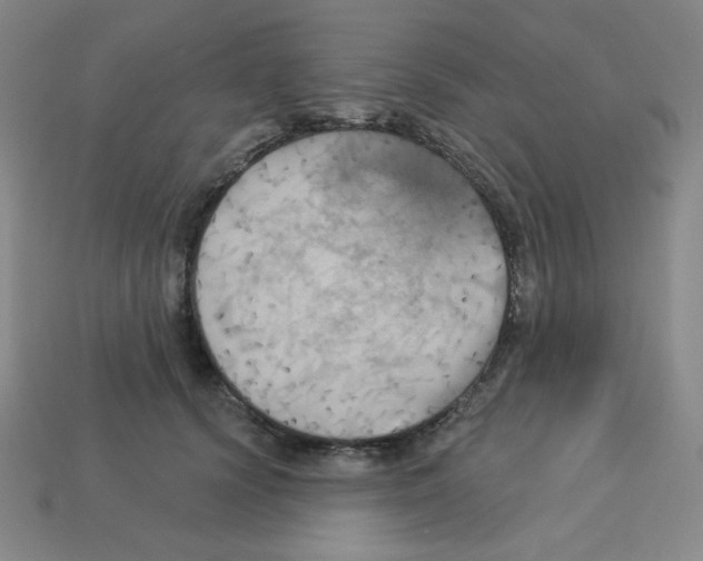X0000113050656200910081232