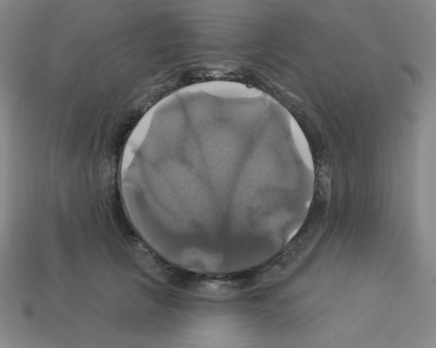 X0000113050657200910081232