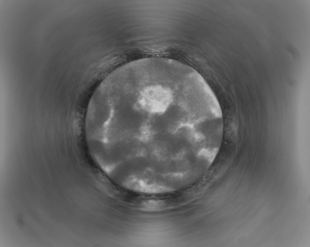 X0000113050658200910081232
