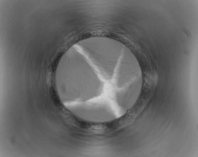 X0000113050659200910081232