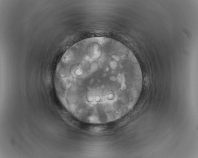 X0000113050662200910081232