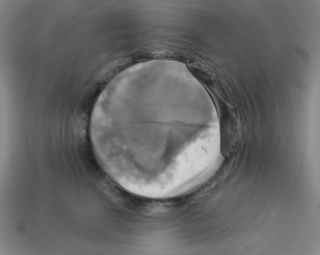 X0000113050664200910081233