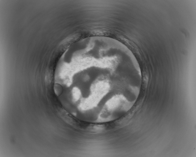 X0000113050665200910081233