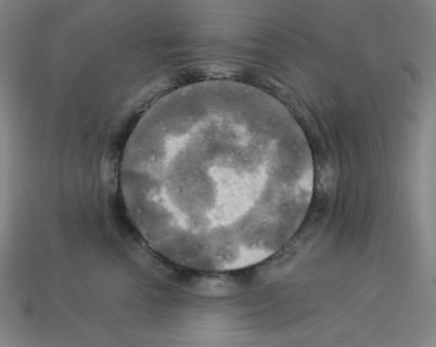 X0000113050666200910081233