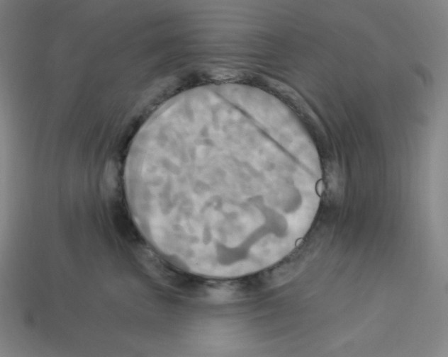 X0000113050667200910081233