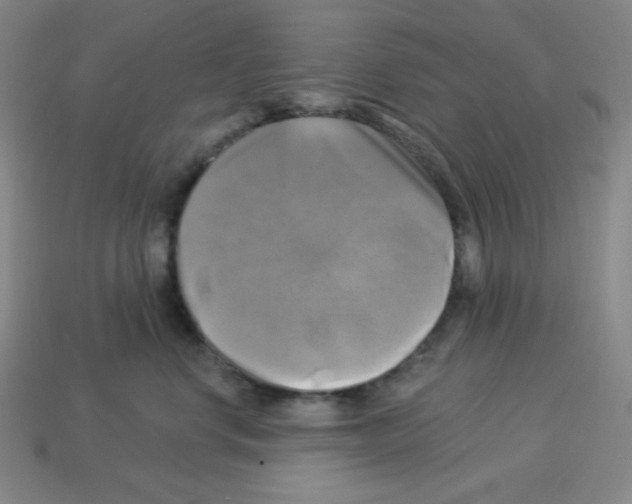 X0000113050668200910081233