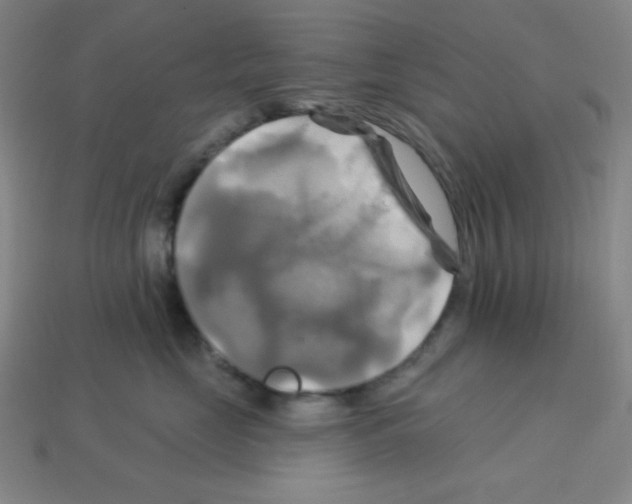 X0000113050669200910081233