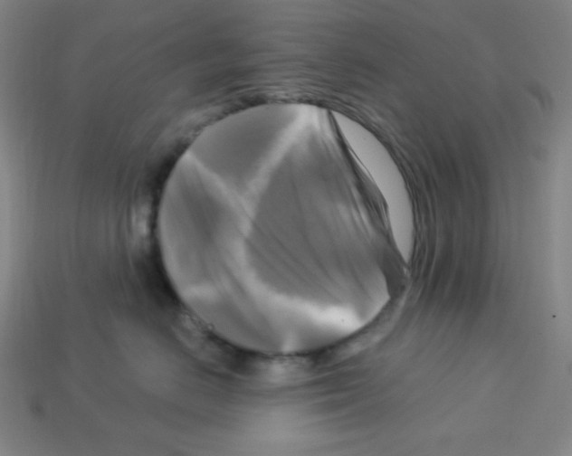 X0000113050670200910081233
