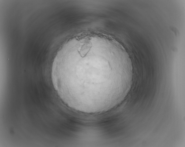 X0000113050672200910081233