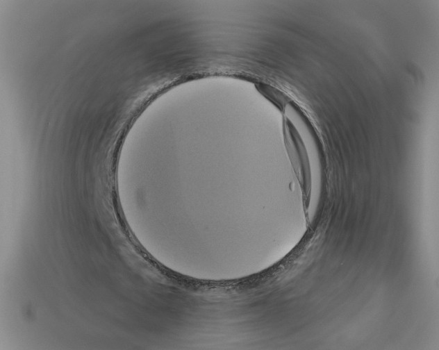 X0000113050673200910081232