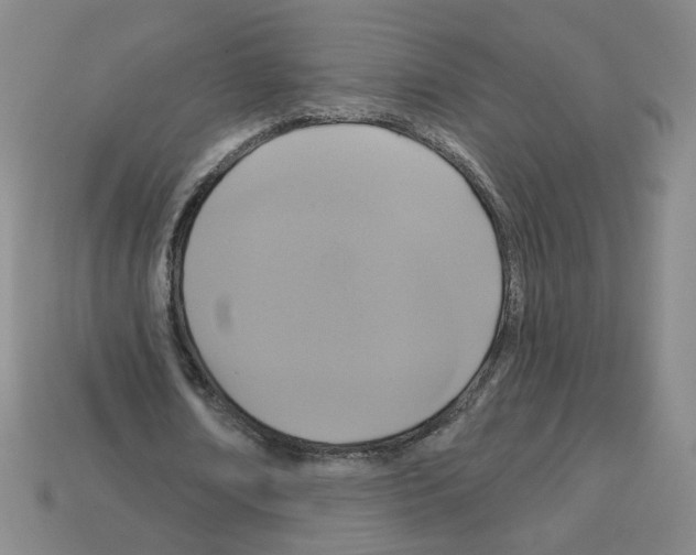 X0000113050674200910081232