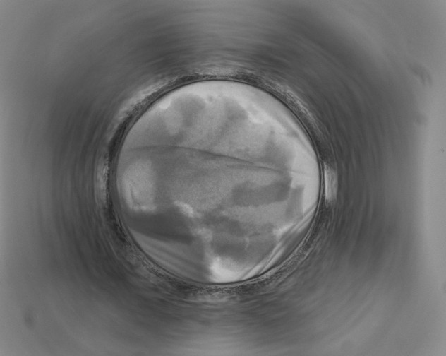 X0000113050675200910081232