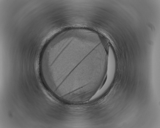 X0000113050677200910081232