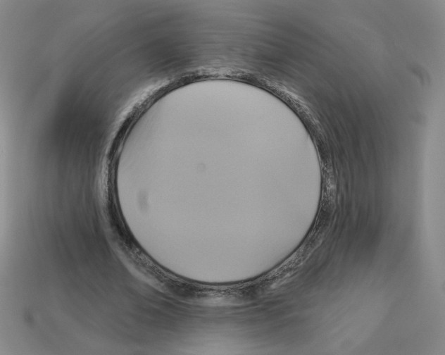 X0000113050678200910081232