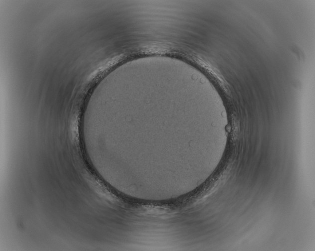 X0000113050681200910081232