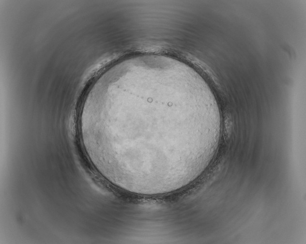 X0000113050682200910081232