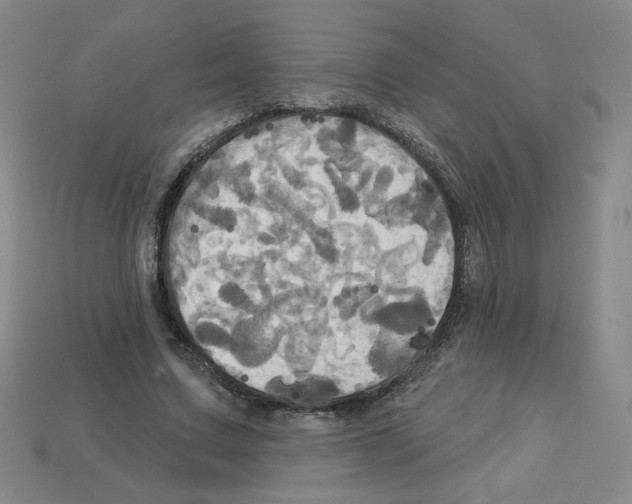X0000113050683200910081232