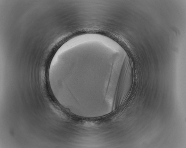 X0000113050684200910081232