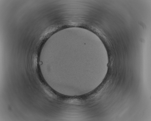 X0000113050685200910081232