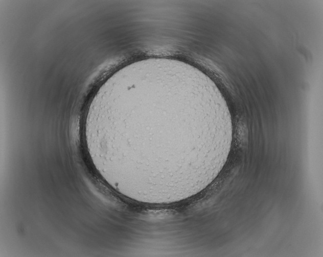 X0000113050686200910081232