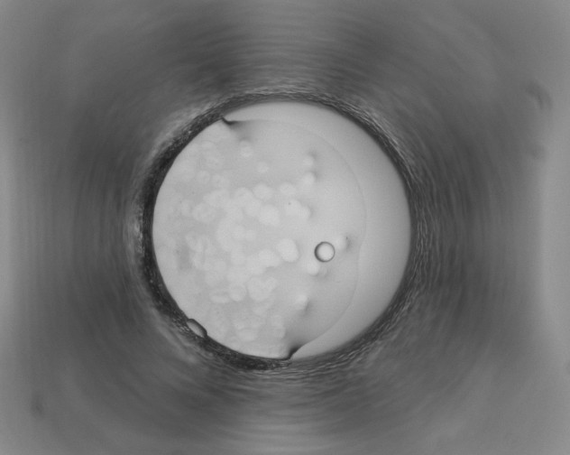 X0000113050688200910081232