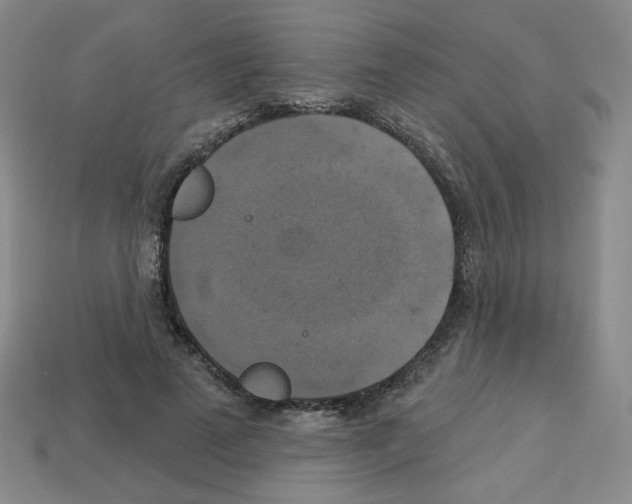 X0000113050689200910081232