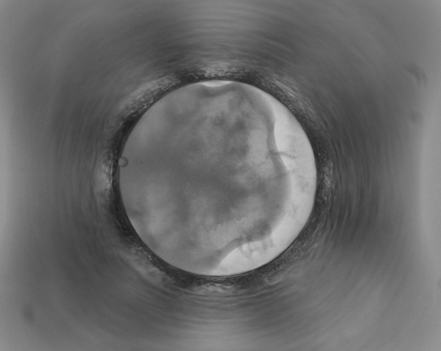 X0000113050691200910081232