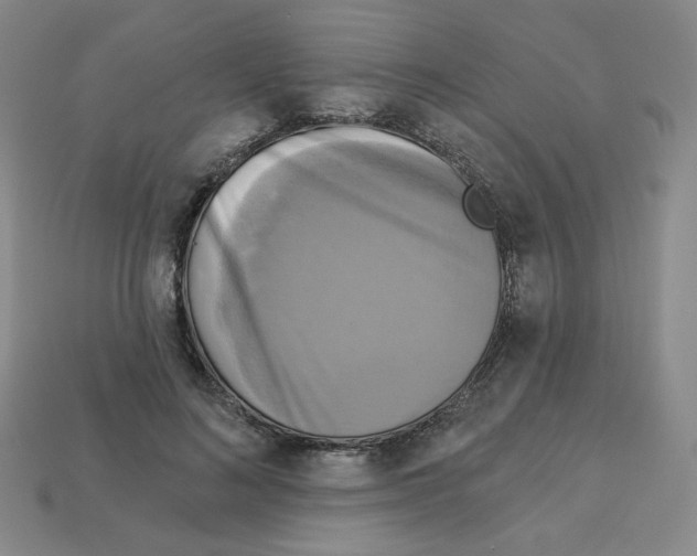 X0000113050692200910081232