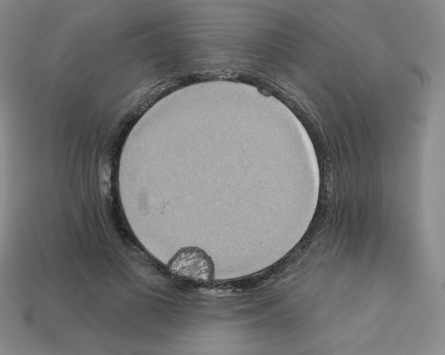 X0000113050693200910081232