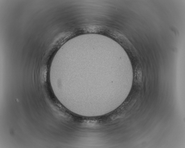 X0000113050694200910081232