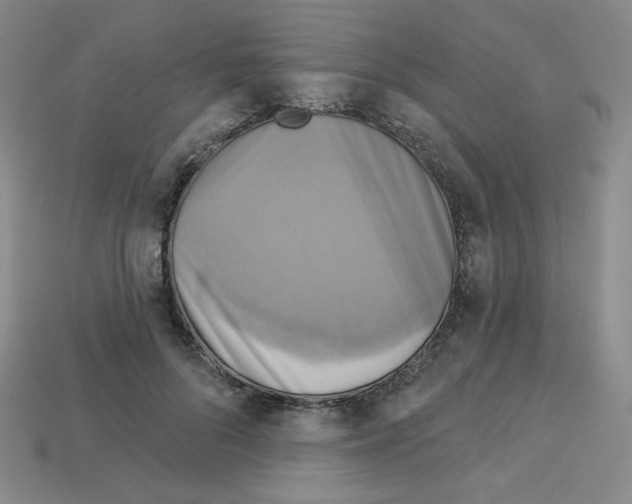 X0000113050696200910081232