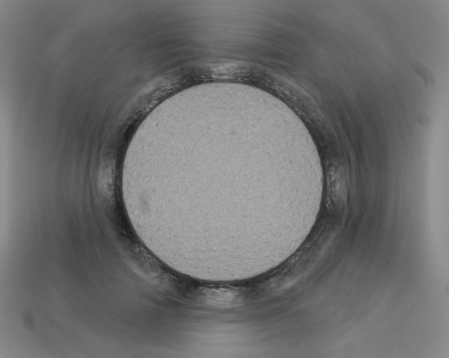 X0000113050698200910081232
