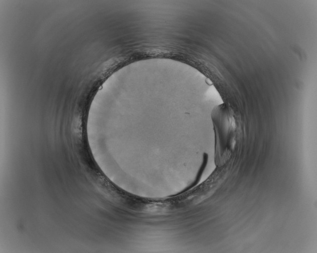 X0000113050700200910081232