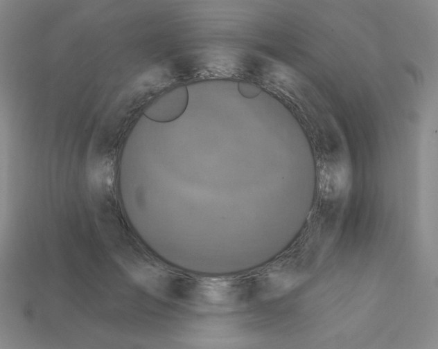 X0000113050701200910081231