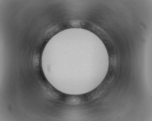 X0000113050702200910081231